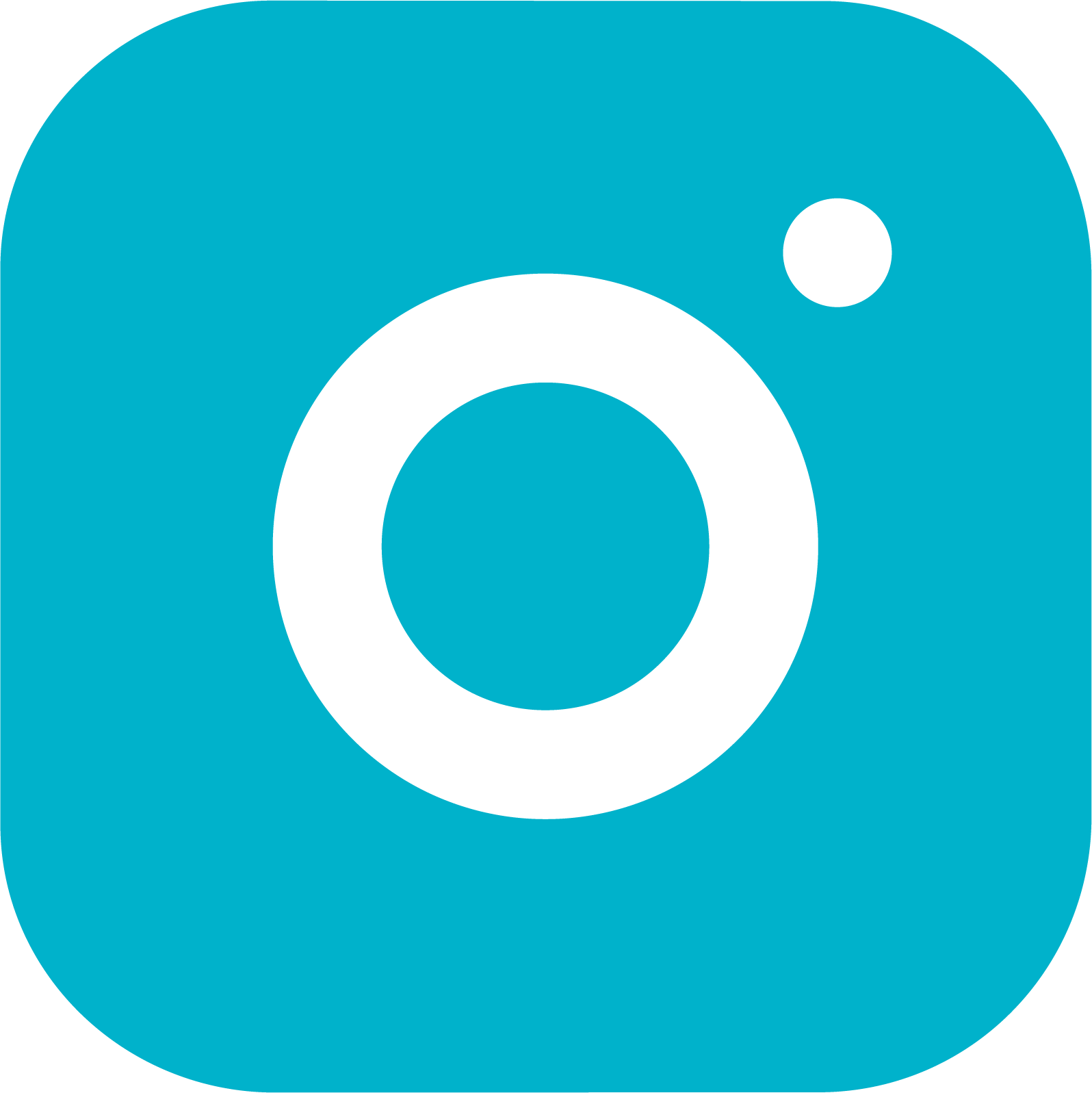 Icone Instagram