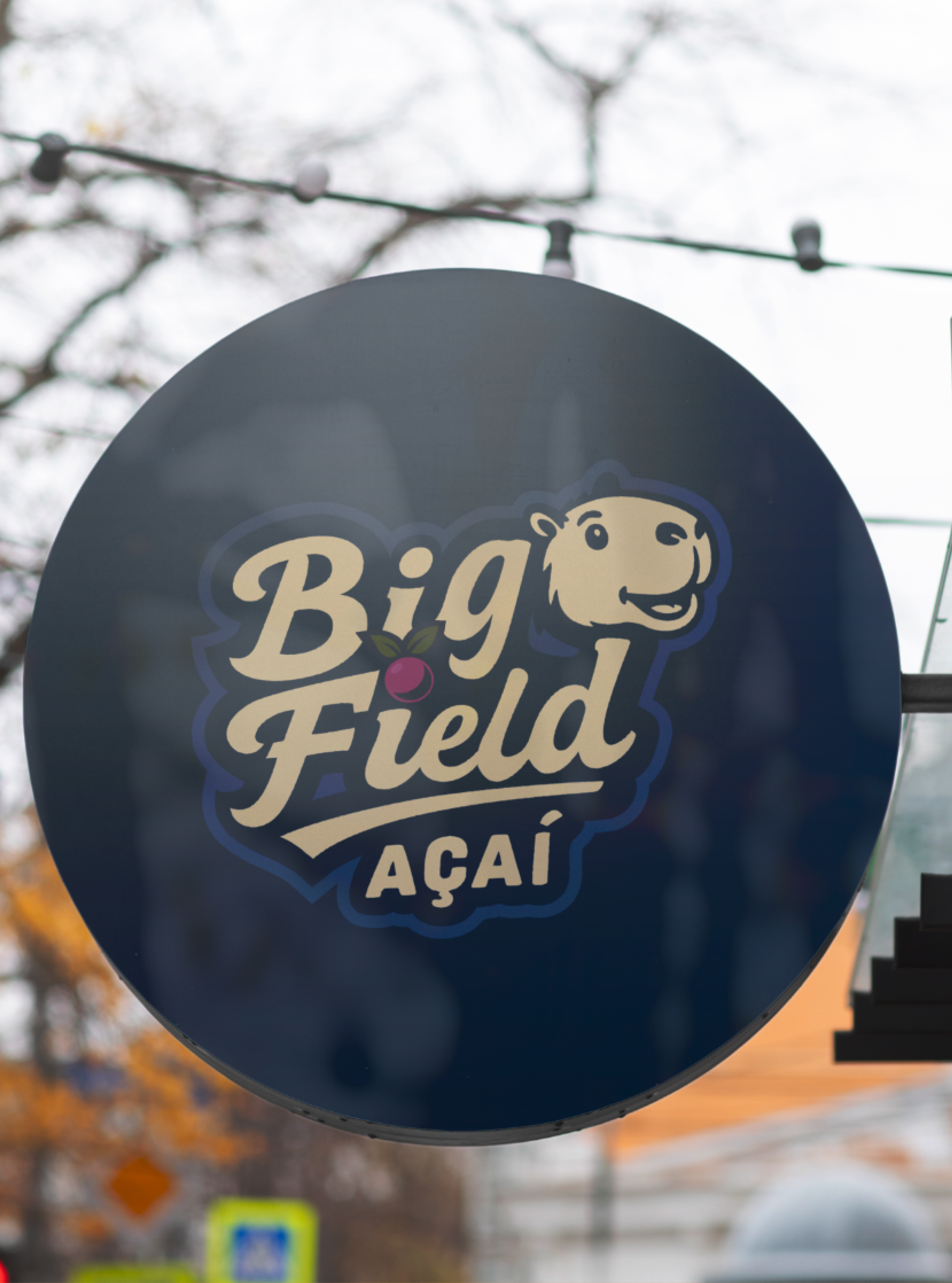 Apresentação Big Field Parte 4