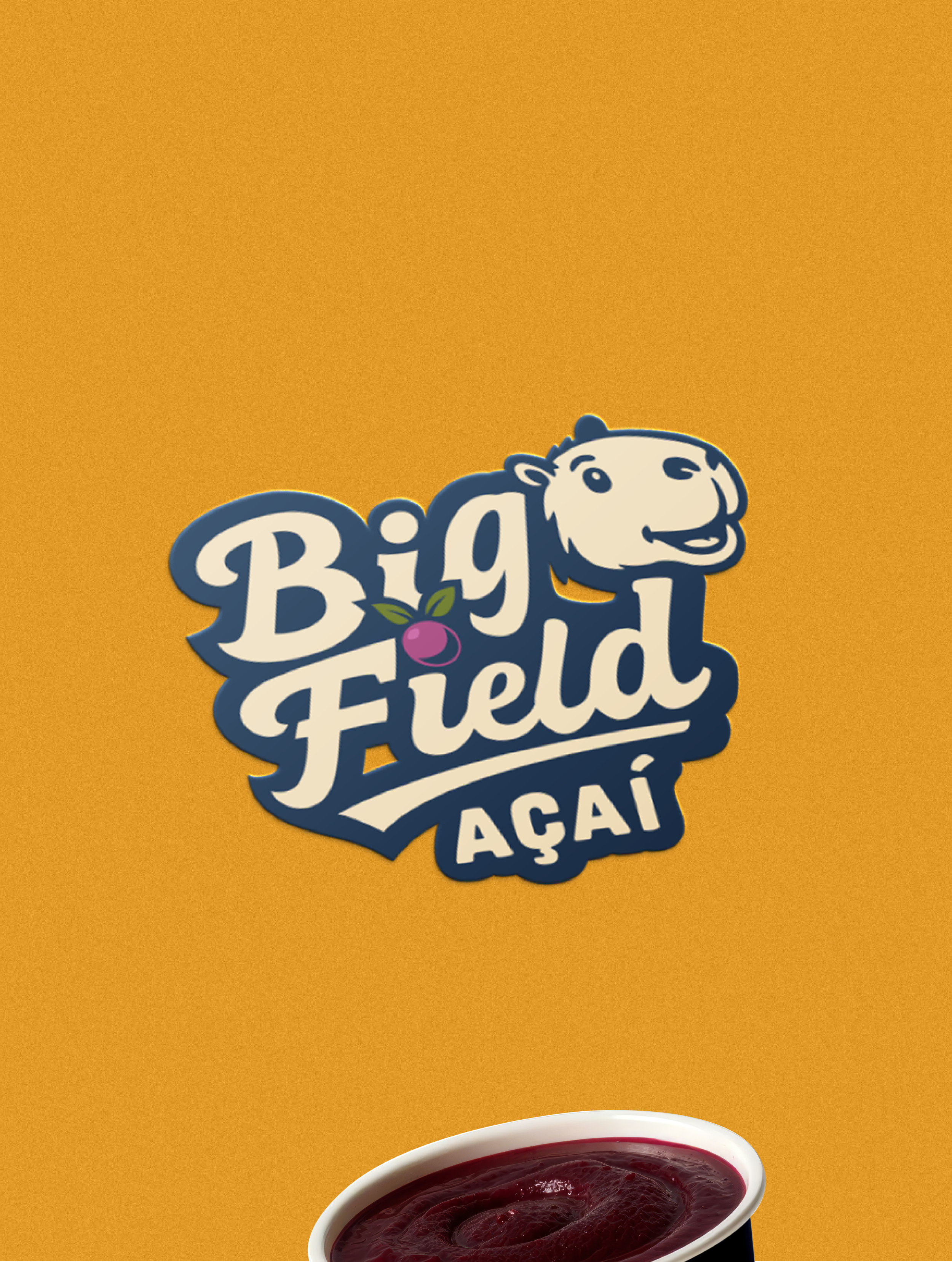 Apresentação Big Field Parte 5