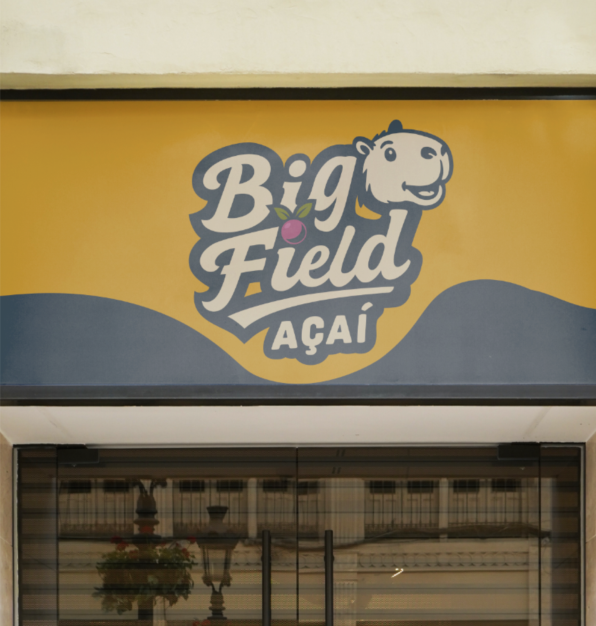 Apresentação Big Field Parte 8