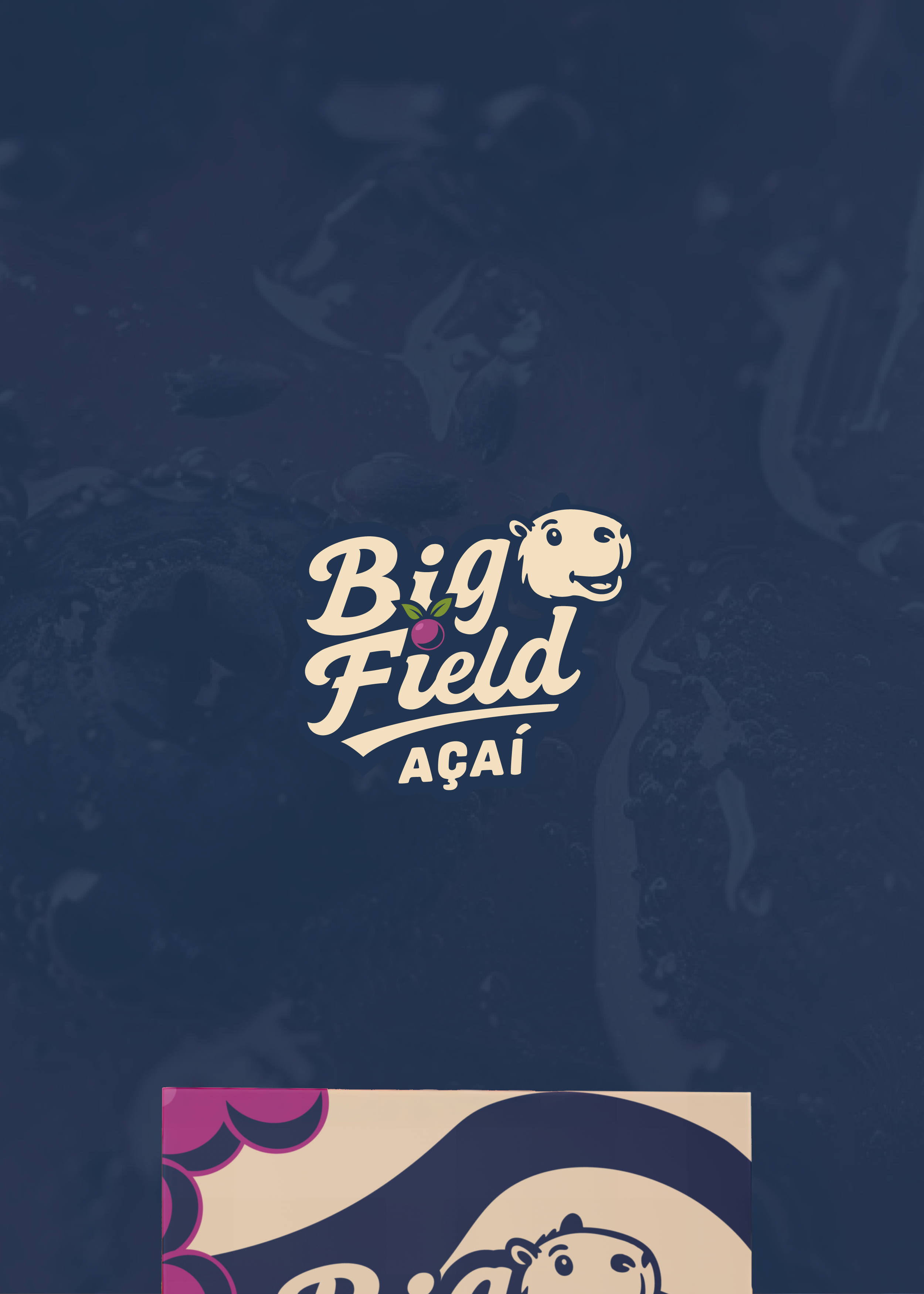 Apresentação Big Field Parte 9
