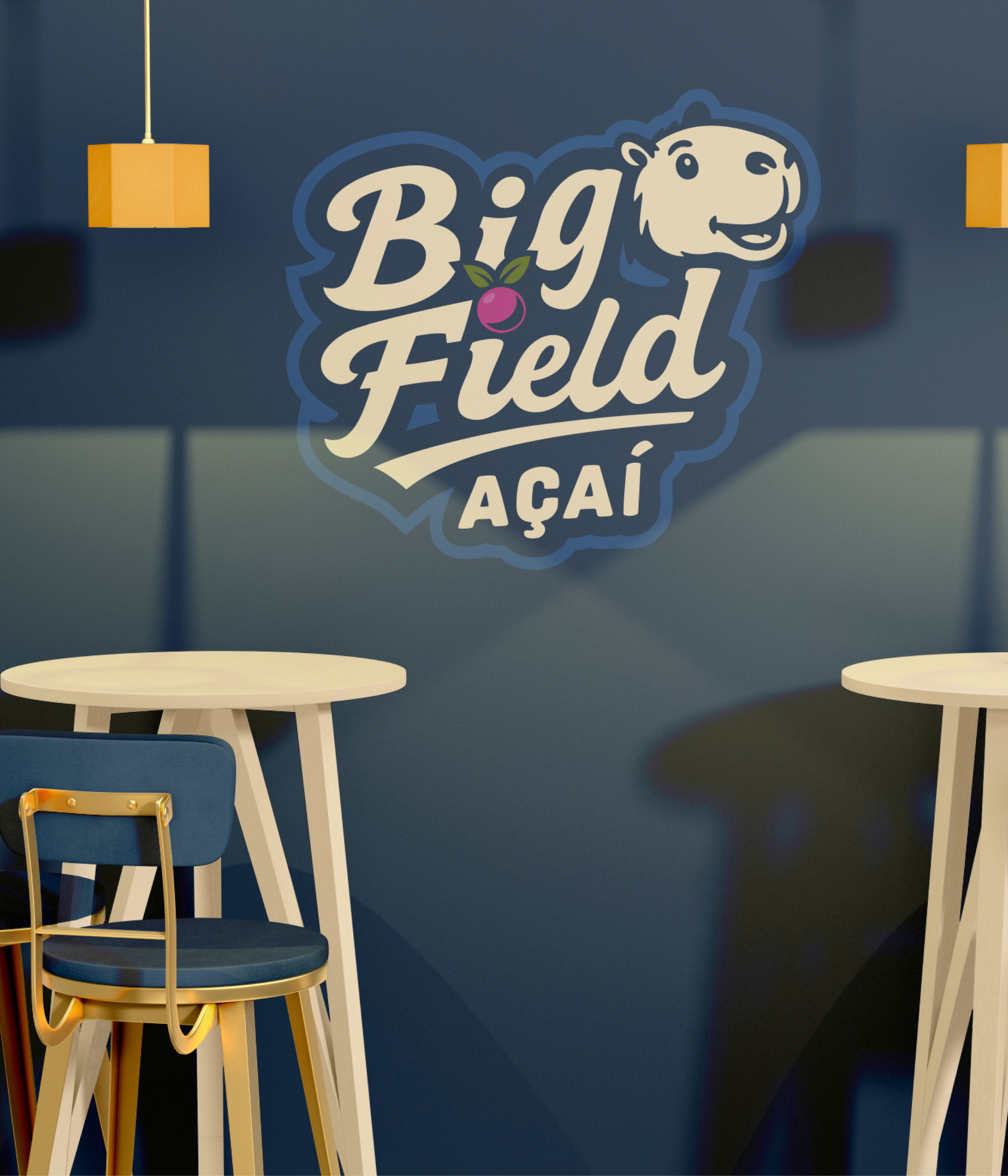 Apresentação Big Field Parte 12