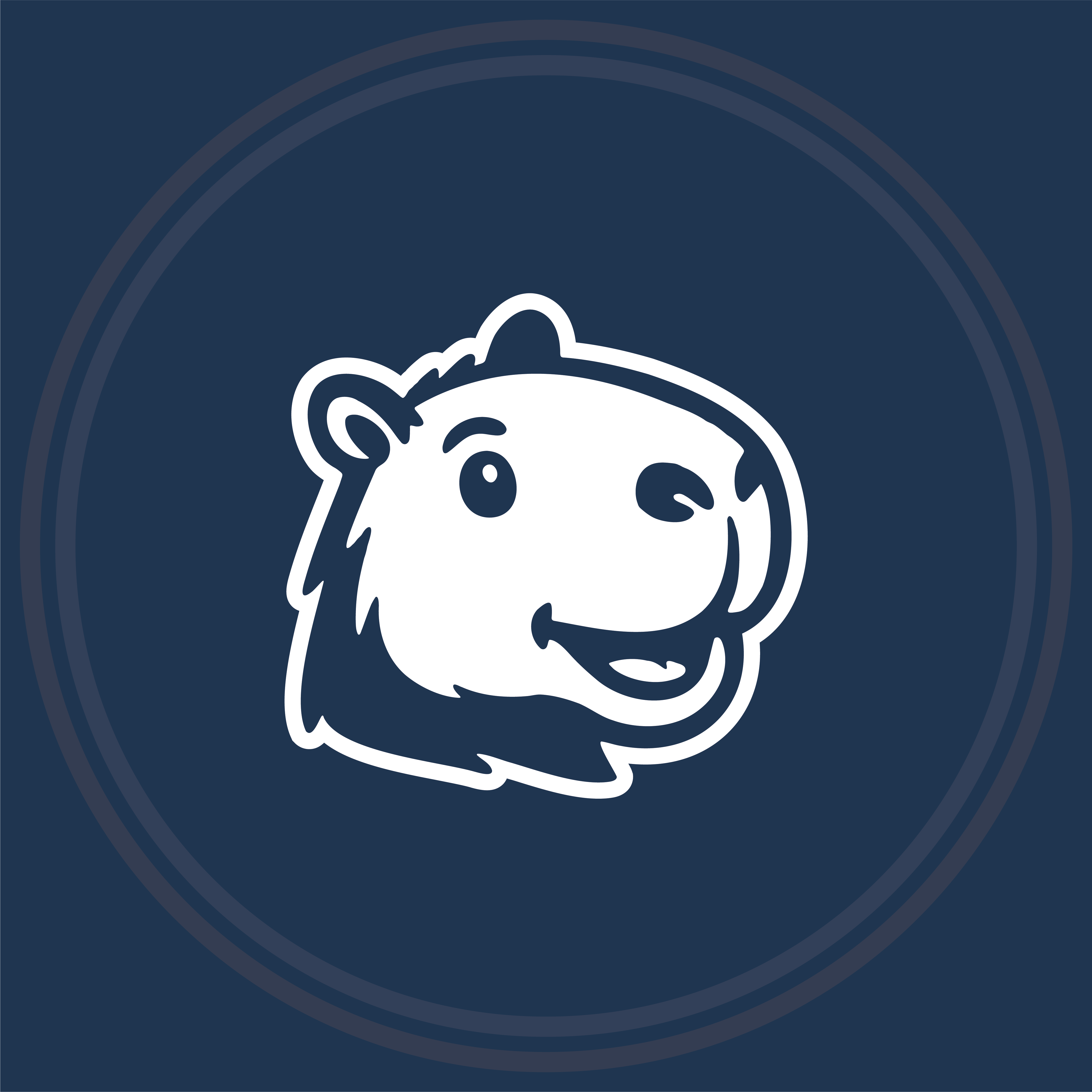 Logo Big Field